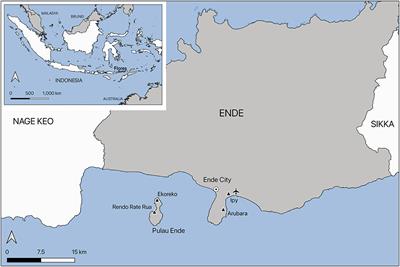 Taboos, food avoidances, and diseases: Local epistemologies of health among Coastal Endenese in Eastern Indonesia